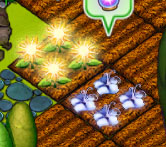 Mature Solarium and Lunara.