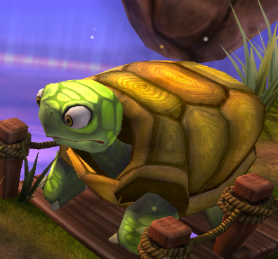 Turtle standing upright when alone