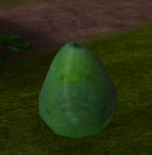 Avocado