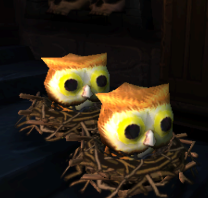 Owls in their nests