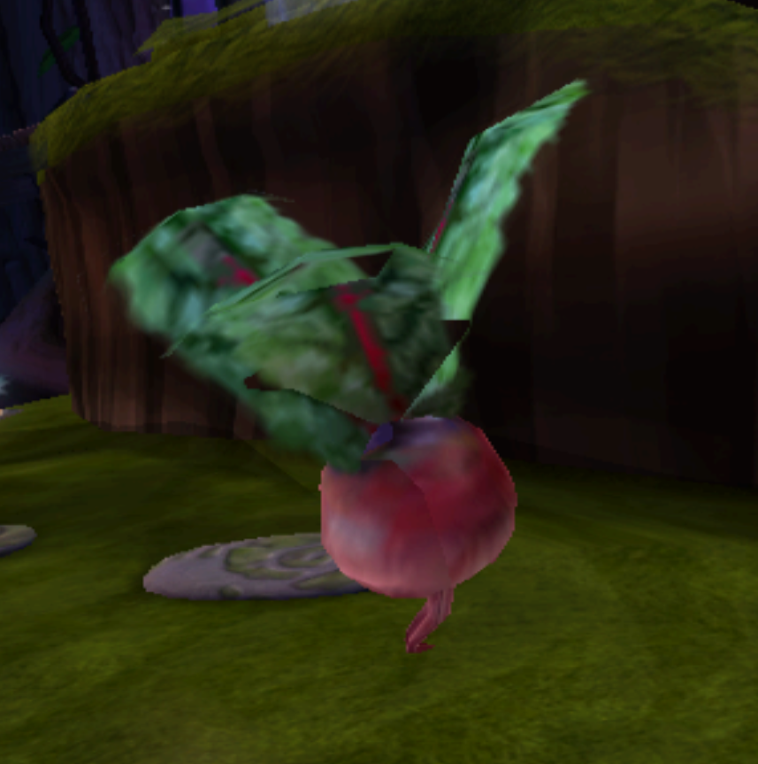 Radish