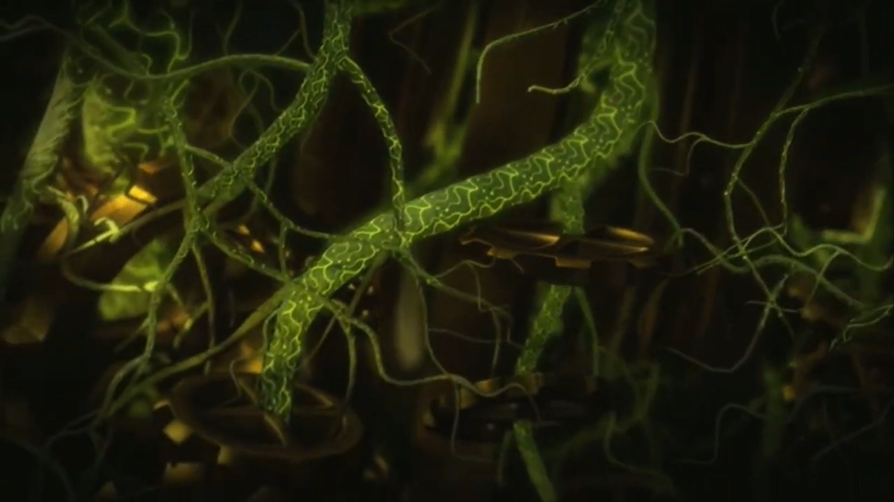 The Green Goo flowing through the roots underneath the Core of Light